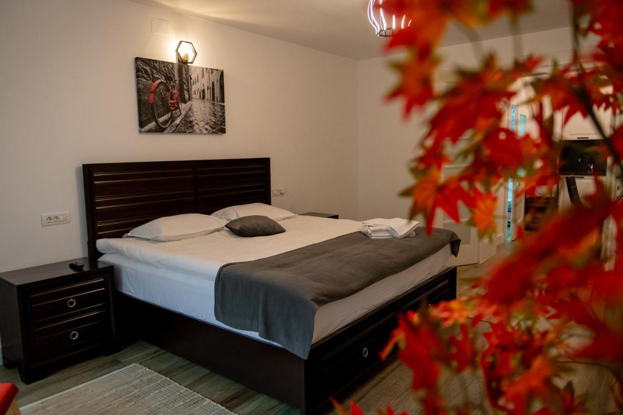Old Town Suites 브라쇼브 외부 사진